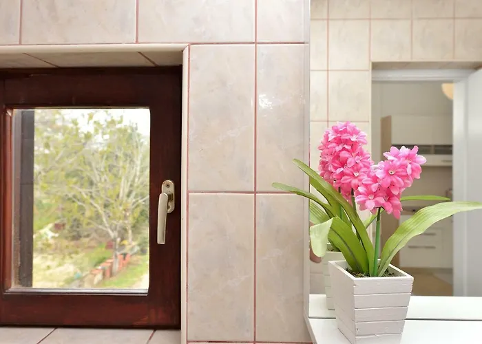 Apartman Lela 1 Bibinje